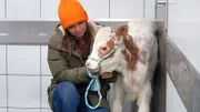 Ein Tag in der Tierklinik 4