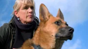 Wenn alte Tiere auf einmal ihr Zuhause verlieren, ist ihre Verzweiflung groß. Das Team im Tierheim Koblenz versucht, die alte Hündin Laika aus ihrer Traurigkeit zu befreien. Damit sie bessere Vermittlungschancen hat, steht auch ein Fernsehauftritt bevor.