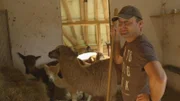 Jungbauer Markus Huber auf dem Winklhof im Wurmsham in Niederbayern.