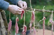 Die Archäologin Anne Flouest präsentiert das mit Feuerstein geschnittene Fleisch.