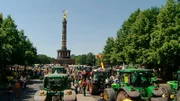 Das Jahr 2009 – die S-Bahn nervt Berlin, Dieter Hallervorden übernimmt das Schlosspark-Theater und Ex-Finanzsenator Thilo Sarrazin provoziert mit Aussagen über „Kopftuchmädchen“. Eine Berlin-Chronik der Superlative: Fünf Jahrzehnte von 1961, dem Jahr des Mauerbaus, bis 2009, als Berlin eine Weltstadt im 21. Jahrhundert ist. - Berlin erlebt die größte Demo Brandenburger Bauern.