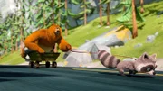 (v.li.): Grizzy, Waschbär