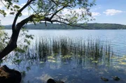 Der Pellenzer Seepfad führt auch am am Laacher See (Eifel) entlang.