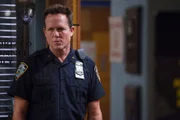 Ein Polizist wird verdächtigt, sich an wehrlosen Frauen zu vergehen: Um seinem Treiben ein Ende zu bereiten, soll ihn Detective Brian Cassidy (Dean Winters) rund um die Uhr überwachen und auf frischer Tat ertappen.