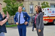 Donnie Wahlberg (Danny Reagan), Marisa Ramirez (Maria Baez).