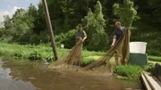 Die Fischzucht Sandau bei Landsberg am Lech. Stefan Sanktjohannser und Sohn Marco holen mit dem Zugnetz Forellen aus dem Teich.
