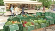 Edeltraud Melzl-Butz verkauft ihre BIO-Erzeugnisse vom Hof in Niederbayern zwei Mal die Woche auf einem Markt in München.