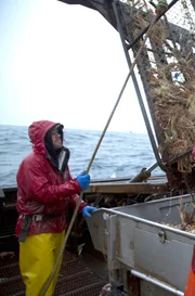 Northwestern crew on good crab.