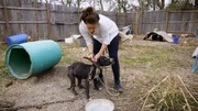 M2 Rescuing dog. M2 Rescuing dog.