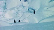Entdecker im Schnee auf der Suche nach dem Yeti.