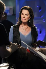 Ein Ehepaar wird im eigenen Schlafzimmer Opfer eines brutalen Überfalls. Jo (Sela Ward) und ihr Team versuchen herauszufinden, wer hinter dieser grausamen Tat steckt.