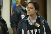 Amy Santiago (Melissa Fumero)