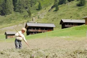 Einsam und idyllisch liegt das Villgratental in Osttirol. Wer sich ganz auf sich selbst zurück geworfen fühlen möchte, der kommt hierher. Und natürlich gibt es sie hier auch, die Leute, die hier aufgewachsen sind und gar nichts anderes kennen als diesen innigen Kontakt mit den Bergen, der Sonne und dem Himmel. Im Bild: Altbauer Johann Perfler in Außervillgraten, Osttirol.