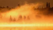Sonne über dem Nebel taucht Finnlands Sümpfe in goldenes Licht.