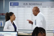 Grey's Anatomy
Staffel 18
Folge 8
Kelly McCreary als Dr. Maggie Pierce, James Pickens Jr. als Dr. Richard Webber
SRF/ABC Studios
