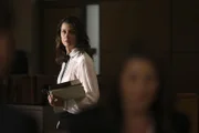 Erin Reagan-Boyle (Bridget Moynahan)