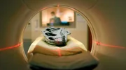 CT-Scans enthüllen die Anatomie von Dinosaurierschädeln.