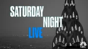 (45. Staffel) - Saturday Night Live - Artwork