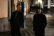 Der finnische Spezialagent Max Tanner und seine schwedische Kollegin Sylvia Madsen treffen sich in Helsinki wieder.