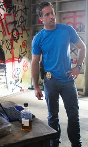 Steve McGarrett (Alex O'Loughlin)