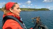 Die Gewässer rund um Schottland gehören zu den fischreichsten Europas. Die Hummer können bis zu hundert Jahre alt werden. Moderatorin Tamina Kallert mit einem Hummer, den sie wieder zurück ins Gewässer gibt.