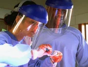 Ein schwieriger Fall erfordert die ganze Aufmerksamkeit von Jordan Cavanaugh  (Jill Hennessy) und Trey (Mahershalalhashbaz Ali): Sie müssen einen weiblichen Torso identifizieren.