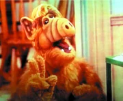 Alf