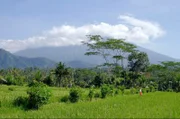 Vulkane, Wälder und Sandstrände: Bali ist eine kleine Insel mit großer Vielfalt.