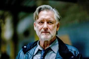 Bill Pullman (Det. Harry Ambrose).