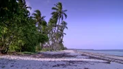 Sandstrand der Insel Sansibar