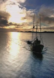 PORT PROTECTION, ALASKA- Stuart und Sam fahren mit der Donna Mae durch das ruhige Morgenwasser, um ihre Krabbenkutter zu holen. (Bildnachweis: National Geographic Channels/Nick Morrison)