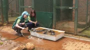 Kirsten and Otters