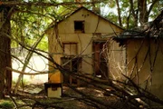 Das alte Haus
