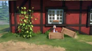 Martin und Nils legen einen Zwischenstopp ein, um auf einem Bauernhof Lebkuchen zu essen.