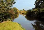 hr-fernsehen FLUSSGESCHICHTEN VON DER SCHWALM, Frösche, Trachten und wilde Musik, Blick auf die Schwalm bei Gombeth.