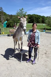 Anna läuft mit Esel Walli einen Hindernisparcour.