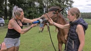 Tierheilpraktikerin Franziska Hartl (l.) verabreicht Pferd Ayla eine antibiotische Mundspülung.