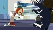 Zwei Skunks nisten sich im Hauptquartier des Wild Teams ein. Jimmy ist ganz fasziniert von den Tieren.