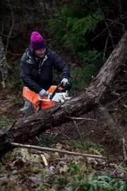 PORT PROTECTION, ALASKA- Mary Miller saws a yellow cedar for firewood in Port Protection. (Photo Credit: National Geographic Channels/ Rocco Colonna)