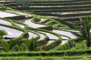 Paradiesische Sandstrände, beeindruckende Vulkane, Wälder und Reisterrassen – das ist die Vielfalt der indonesischen Insel Bali.