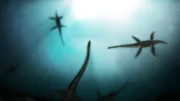 Die Legende von diesem mysteriösen Wesen im See lockt bis heute viele Besucher nach Schottland.
