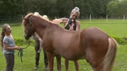 Tierheilpraktikerin Franziska Hartl (r.) versucht, die Rückenprobleme eines Pferdes zu behandeln.