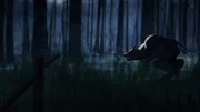 Der Werwolf ist in der Mythologie ein Mensch, der sich in einen Wolf verwandeln kann. In dieser Gestalt verfügt er über besondere Kräfte, oder er ist ein blutrünstiges Monster, das selbst Menschen verspeist.