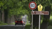 Deutsche Alleenstraße