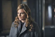 Kate Beckett ist geschockt als sie und ihre Kollegen feststellen, dass Alexis Castle in großer Gefahr ist.
