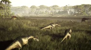 Allosaurus, the apex predator of the Jurassic, may have preyed on giant Sauropods found at the Jurassic Mile excavation site in Wyoming, USA.