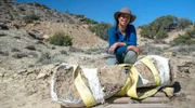 Liz Bonnin mit einem 150 Millionen Jahre alten Dinosaurierknochen aus dem Jura, sicher in Gips verpackt für den Transport von seiner geheimen Ausgrabungsstätte in Wyoming, USA.