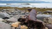 This mooring point would have been upon the deck of the Tirpitz in order to moor the vessel to land.