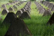 Dragons teeth lined up in a field. Dragons Teeth were one of the main fortifications of the Siegfried Line, one of the main anti-tank defenses.