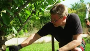 In Boostedt bei Neumünster übergibt Landschaftsarchitekt Soeren von Hoerschelmann den von ihm gestalteten Traumgarten den Bauherren. Alles muss jetzt stimmen: Bepflanzung, Pergolas, Terrasse und Außenküche warten auf den Abschluss des Projekts. Doch wird der Familie auch der Zierteich gefallen? Dem Meistergärtner steht ein spannendes Finale bevor. Parallel startet ein neues Projekt in Springe bei Hannover: Das Ehepaar Grundhoff wünscht sich eine neue Wohlfühloase mit Pool, Außensauna und exklusiver Bepflanzung. Meistergärtner Maximilian von Holzhausen hat einen Plan entwickelt, der die Bauherren begeistern soll. Doch deren Erwartungen sind hoch.